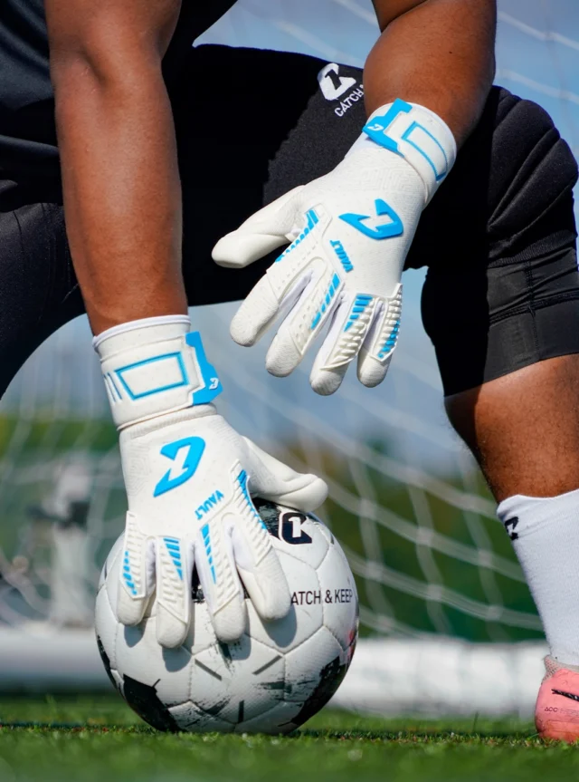 Fly Vault - a closer look 👀🧤