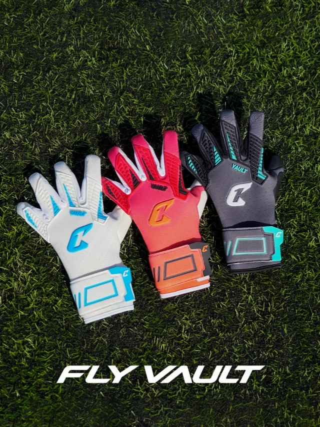 The Fly family. 🪽 Fly Vault - Fly X
Built for the big saves. Built for the next generation. 🤝